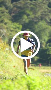 BIB:  <button type="button" onclick="openModal(26575213)" class="btn btn-primary btn-sm float-right" data-toggle="modal" data-target=".modal-high-quality">
                <i class="fa fa-download"></i> Download
                </button>